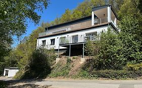 Villa Holgenbach - Penthouse- Und Ferienwohnung Im Nationalpark Eifel
