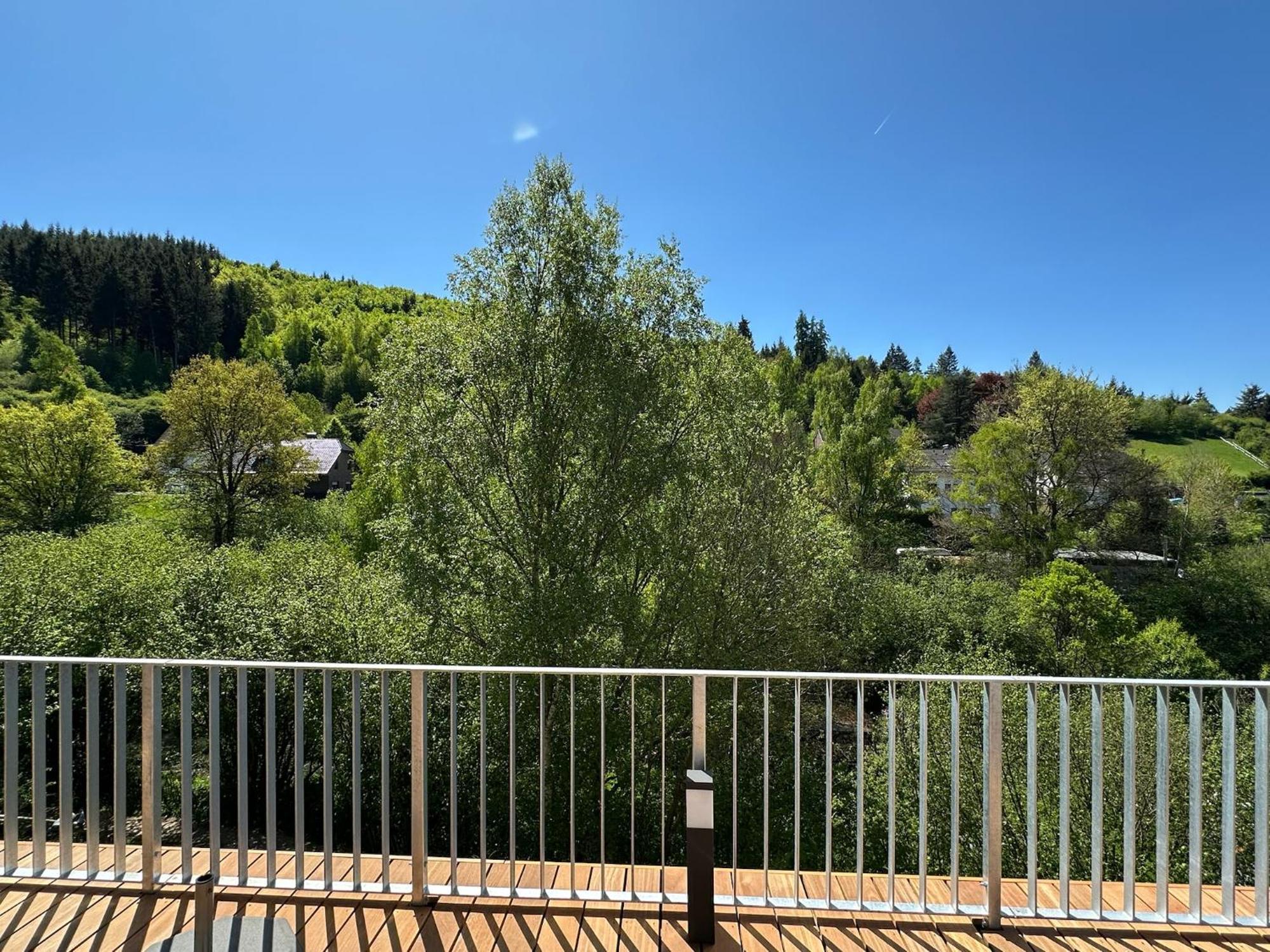 Villa Holgenbach - Penthouse- Und Ferienwohnung Im Nationalpark Eifel Schleiden Buitenkant foto