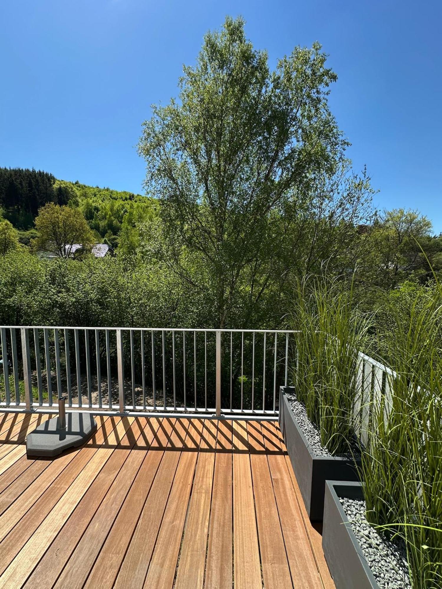 Villa Holgenbach - Penthouse- Und Ferienwohnung Im Nationalpark Eifel Schleiden Buitenkant foto