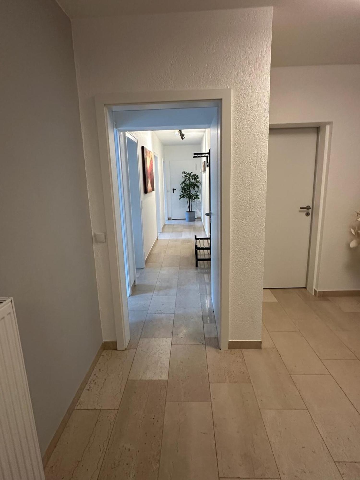 Villa Holgenbach - Penthouse- Und Ferienwohnung Im Nationalpark Eifel Schleiden Buitenkant foto